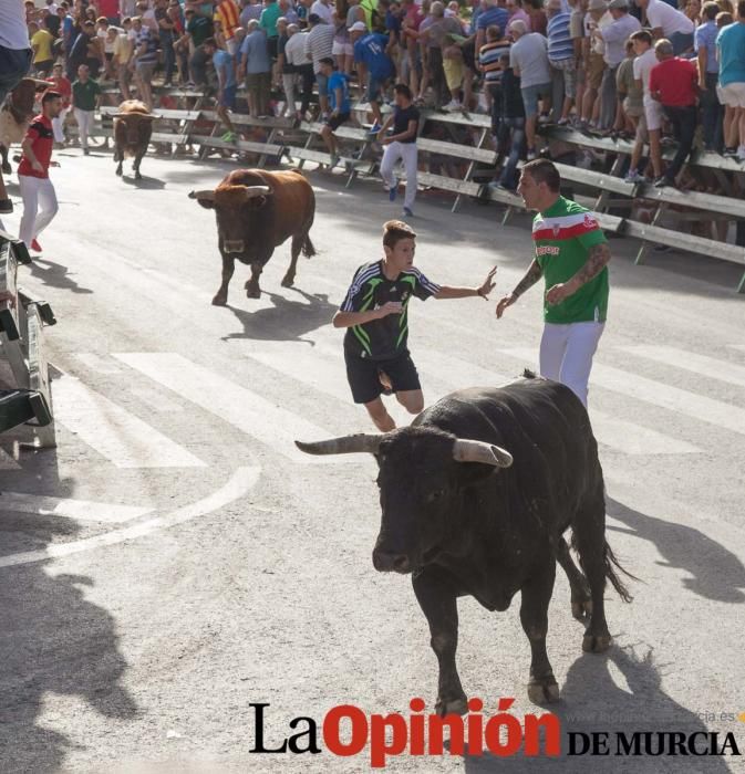 Tercer encierro en Calasparra