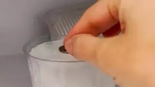 Meter un vaso de agua en el congelador: el truco para vigilar la casa cuando te vas de vacaciones