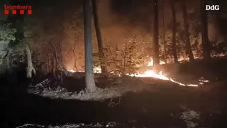 Donen per controlat l'incendi entre Amer i Susqueda