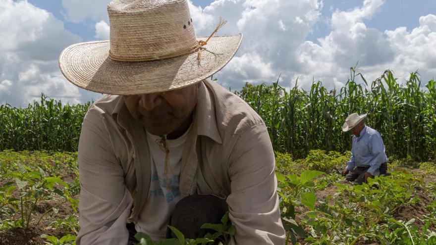 Las familias vivían en condiciones de esclavitud moderna.