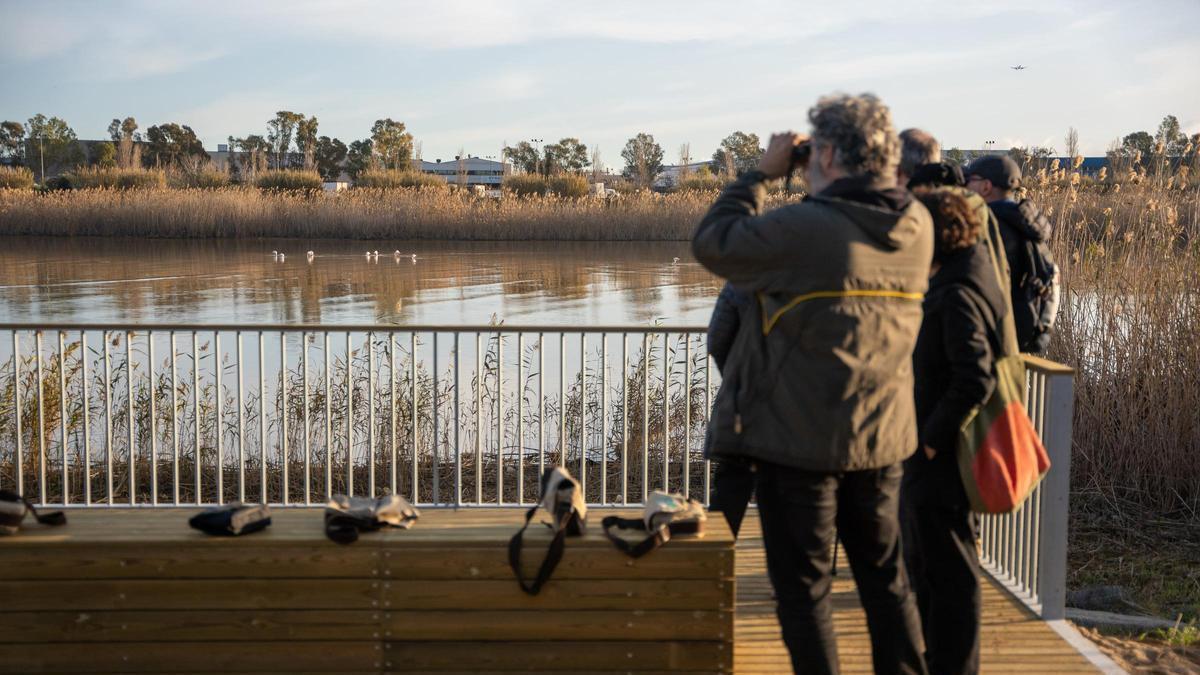 El mirador de flamencos de El Prat de Llobregat, en el Delta del Llobregat.