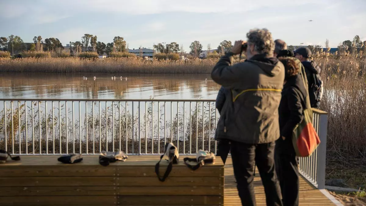 Alianza entre AMB y DIBA para convertir el Delta del Llobregat en polo de atracción de turismo sostenible