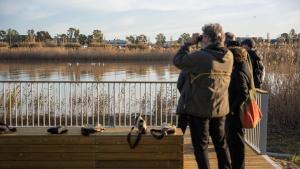 El mirador de flamencos de El Prat de Llobregat, en el Delta del Llobregat.