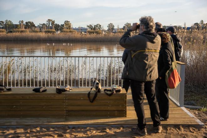 El mirador de flamencos de El Prat de Llobregat, en el Delta del Llobregat.