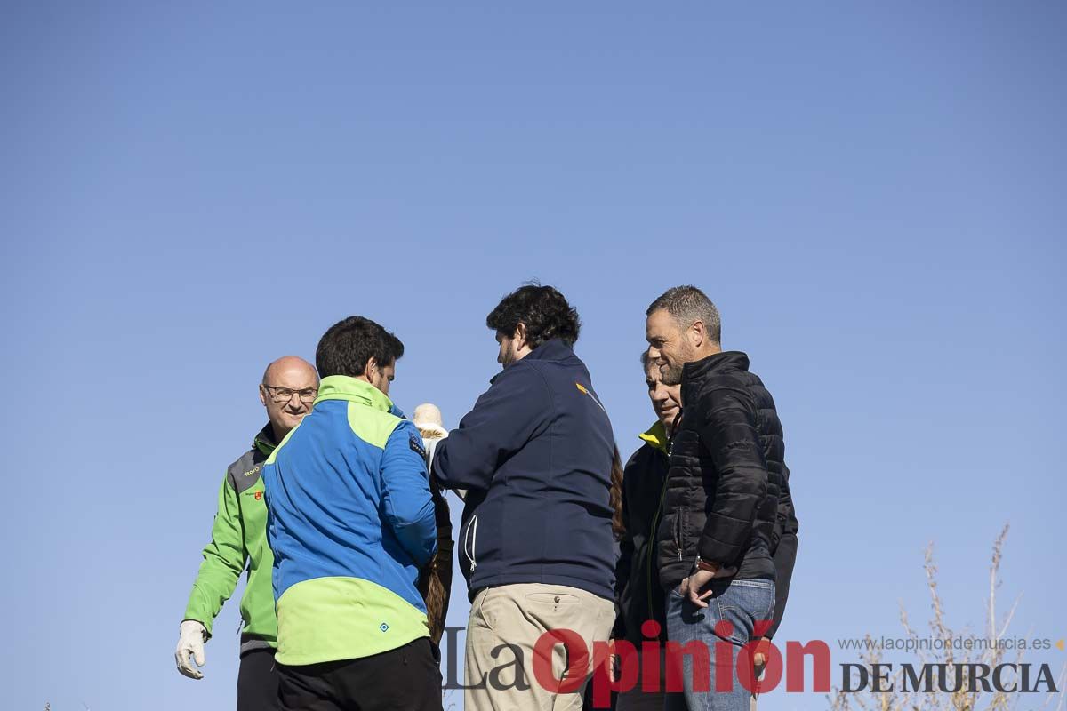 Suelta de dos buitres leonados en la Sierra de Mojantes en Caravaca