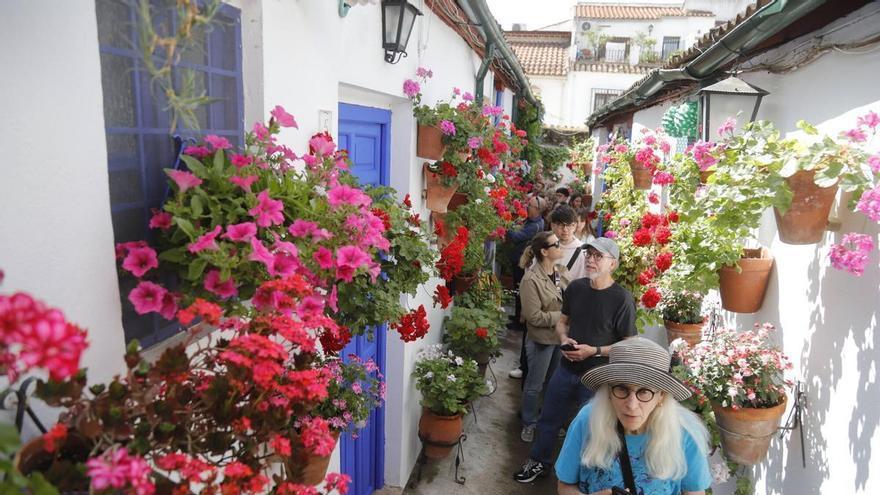 La ruta de los patios de Santa Marina, en imágenes