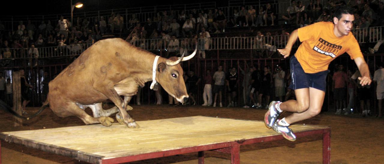 Adios a &quot;Fusilera&quot;, la legendaria vaca que ha marcado la historia de los &quot;bous al carrer&quot;