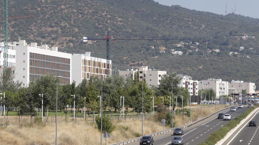 La Junta incluye la Ronda Oeste de Córdoba en su plan de revegetación de autovías