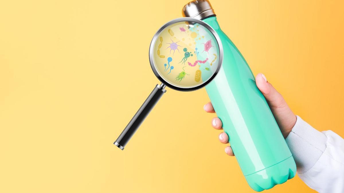 El peligro oculto en tu botella de agua: cómo evitar la acumulación de bacterias