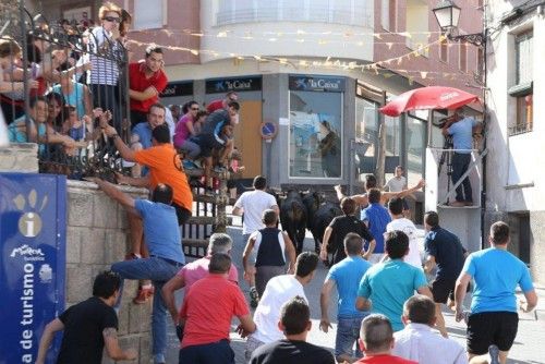 Encierro Infantil de las Fiestas de Moratalla