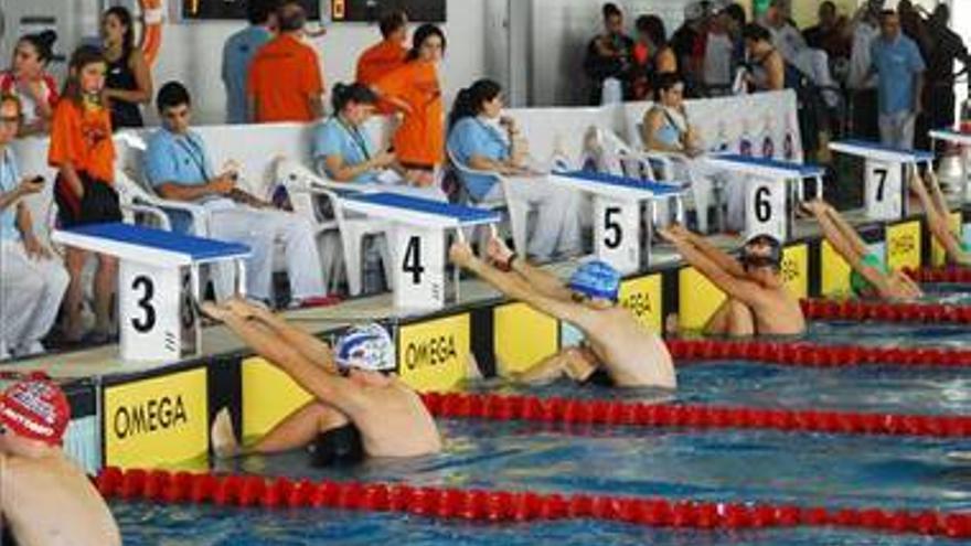 La piscina del Gaetà Huguet congregará a más de 600 nadadores