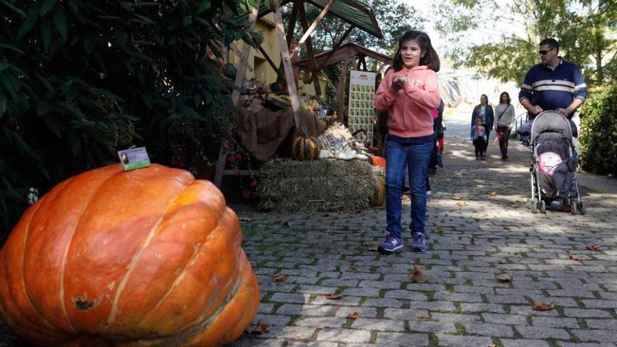 Una niña observa una calabaza en el Botánico.