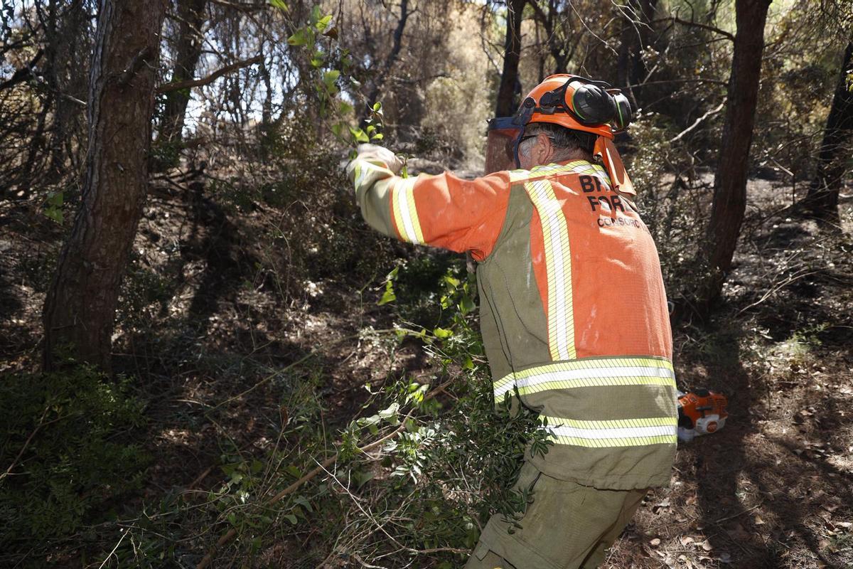 Sábado de trabajos en el incendio del Saler Sábado de trabajos en el incendio del Saler