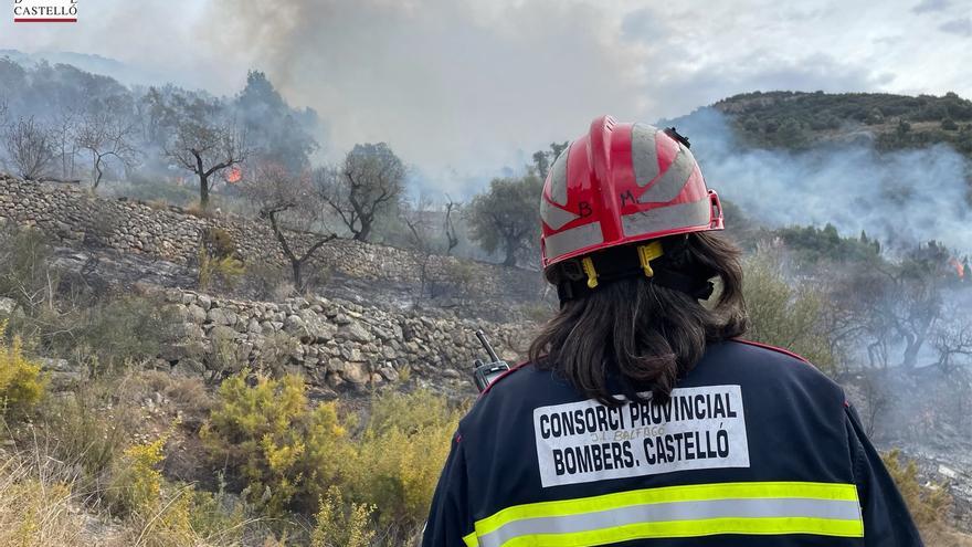 Efectivos aéreos y medios terrestres tratan de sofocar un incendio en la Serra d&#039;en Galceran