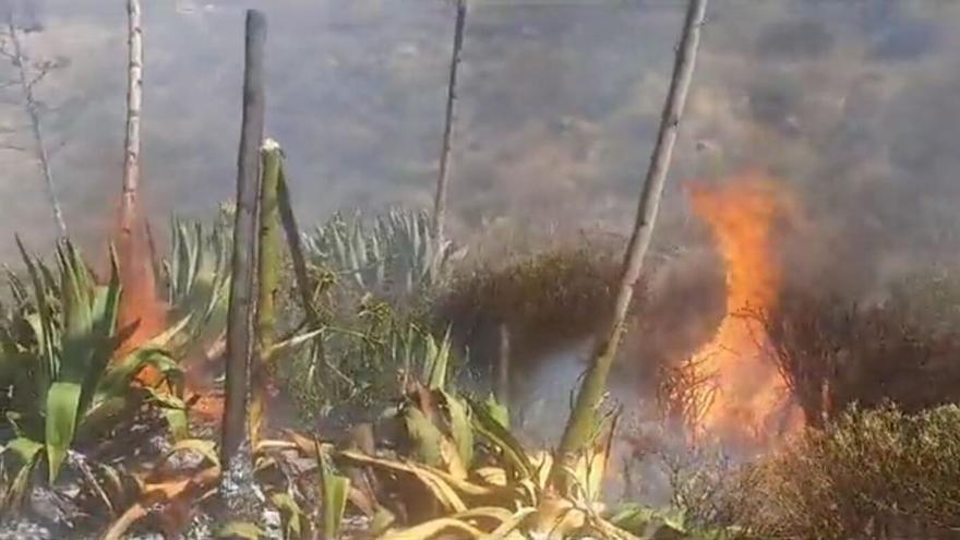 El incendio en El Sequero afecta a una zona de pasto y matorral