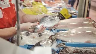 El pescado con menos mercurio de España que debes incluir en tu dieta