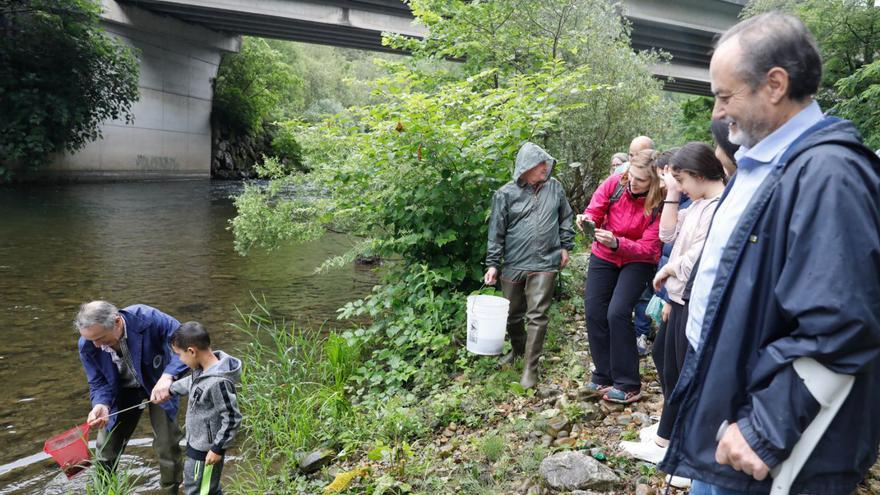 Un alumno suelta alevines de trucha en el río ante la mirada del Alcalde, en primer término, y escolares del colegio ubicado en Soto de Ribera. | Fernando Rodríguez