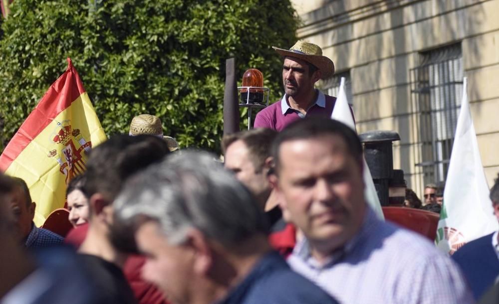 Así ha sido la manifestación de los agricultores en Murcia (II)