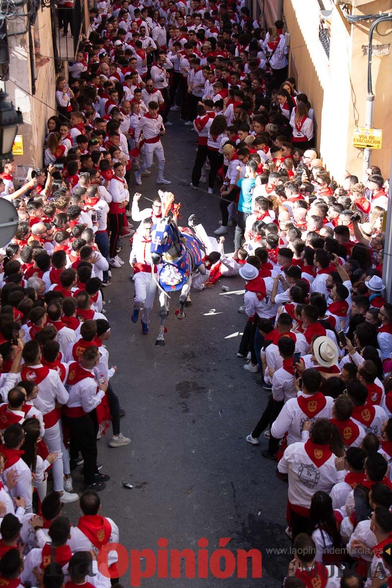 Caballos del Vino en la cuesta de la Simona