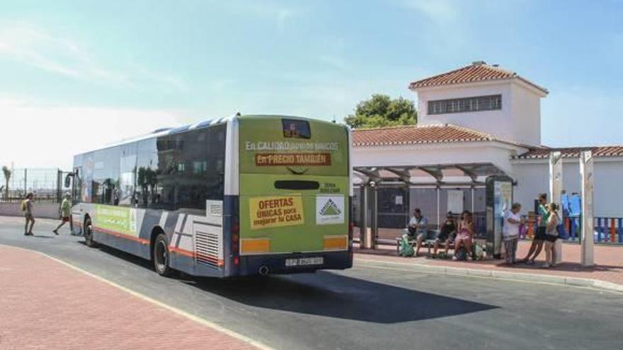 Torrevieja impulsa el cambio  de gestión del bus urbano