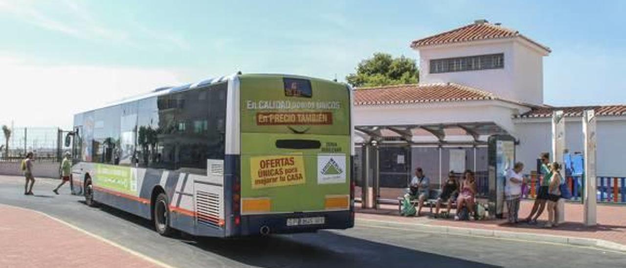Torrevieja impulsa el cambio  de gestión del bus urbano