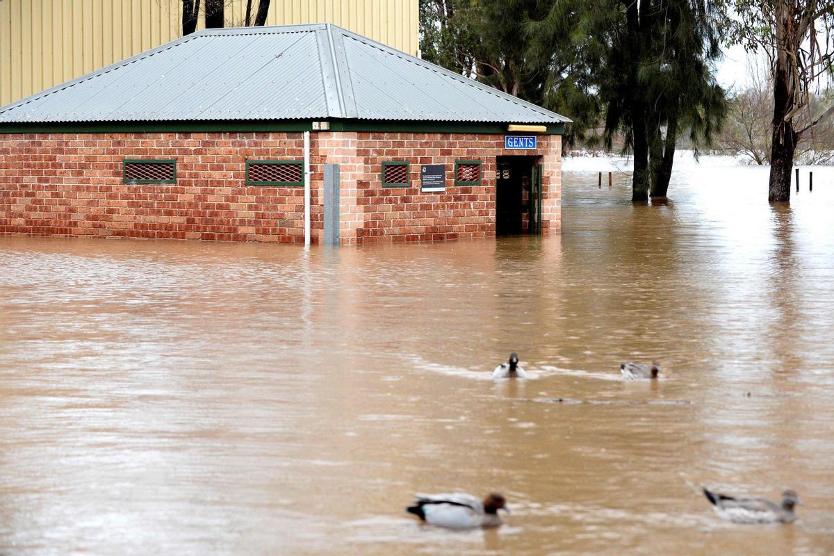 Una vista general muestra un área inundada debido a lluvias torrenciales en el suburbio de Camden en Sydney.