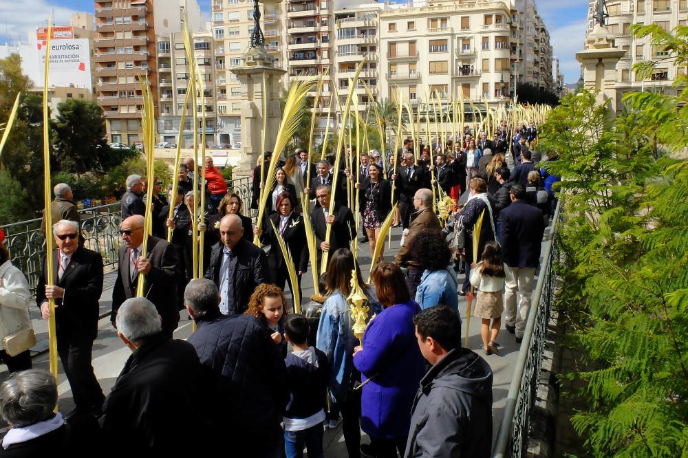 La Procesión de las Palmas de Elche