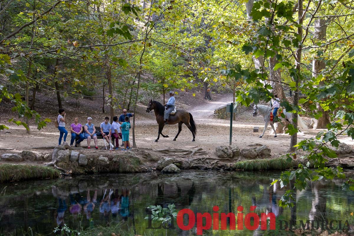 Romería del Bando de los Caballos del Vino