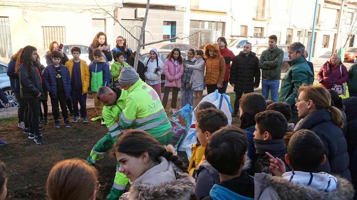 Més de 500 alumnes dels col·legis de Vila-real han participat a la Setmana de l'Arbre.