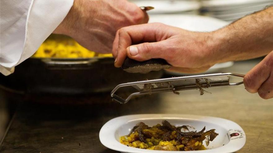 La trufa, el mayor tesoro gastronómico de Castellón