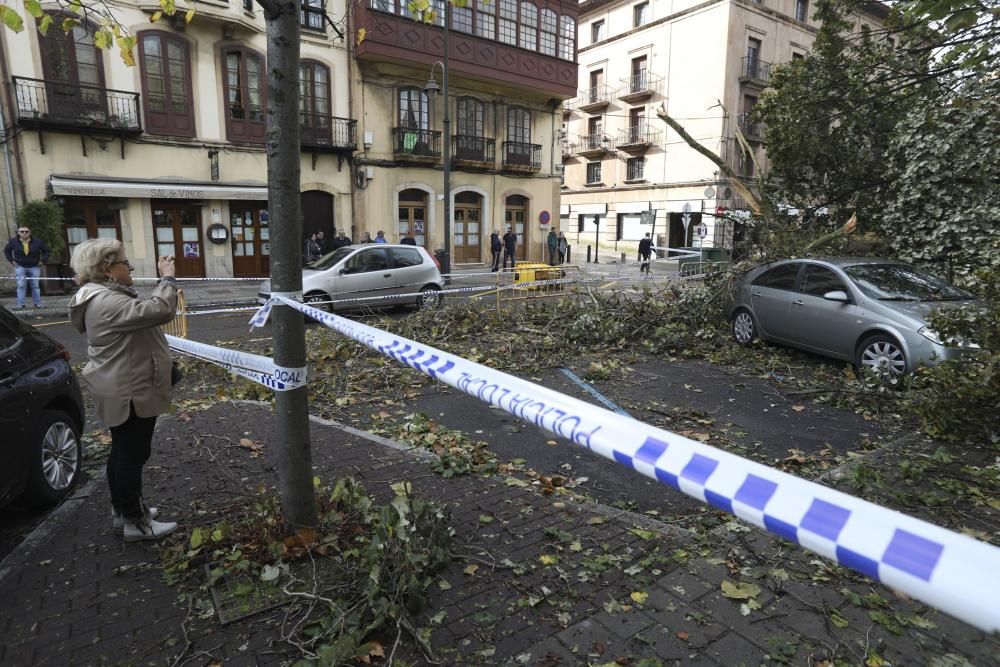 Daños del temporal en Avilés.