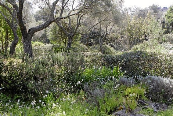 Einer der schönsten Winkel der Insel - das Tal und der Garten von Ariant - kann wieder bei geführten Rundgängen erkundet werden.