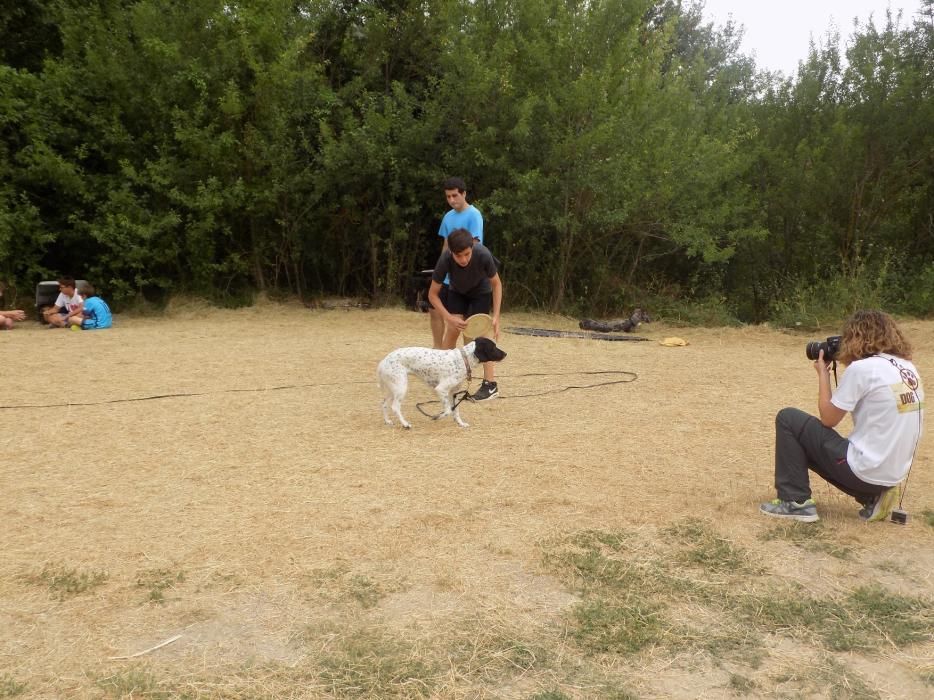 Dog Camp Junior, colònies d'estiu amb gossos al Moianès