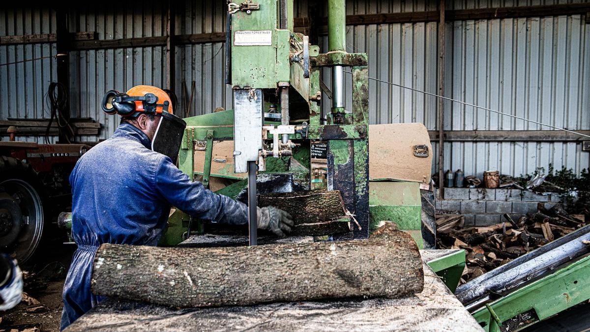 Un treballador del sector de la llenya durant la seva jornada laboral, en una imatge d’arxiu.