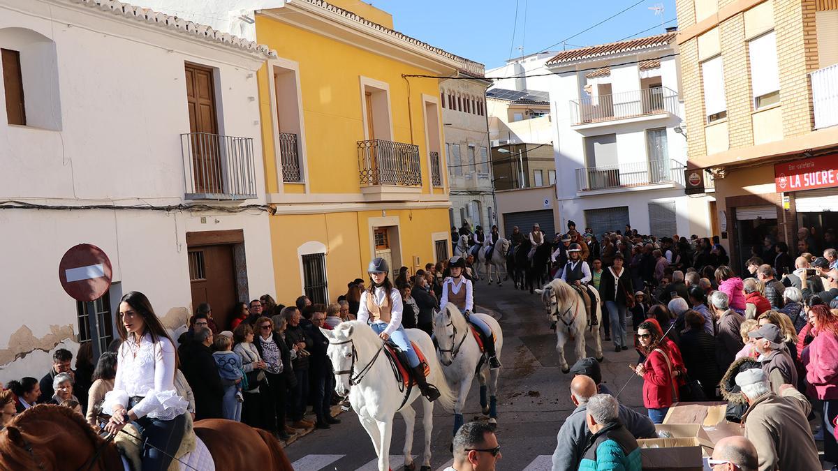 Cientos de personas participan en la bendición de animales en Llíria.