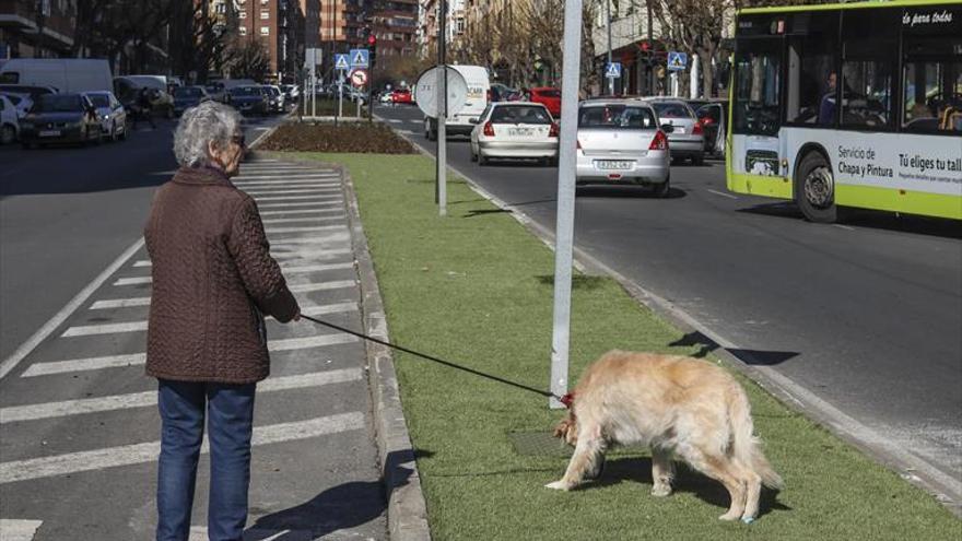 El PSOE critica que la obra del parque de San Fernando esté sin terminar