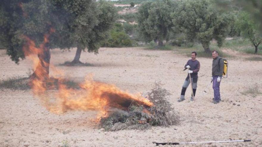Comienza la época de peligro de incendios forestales en Aragón