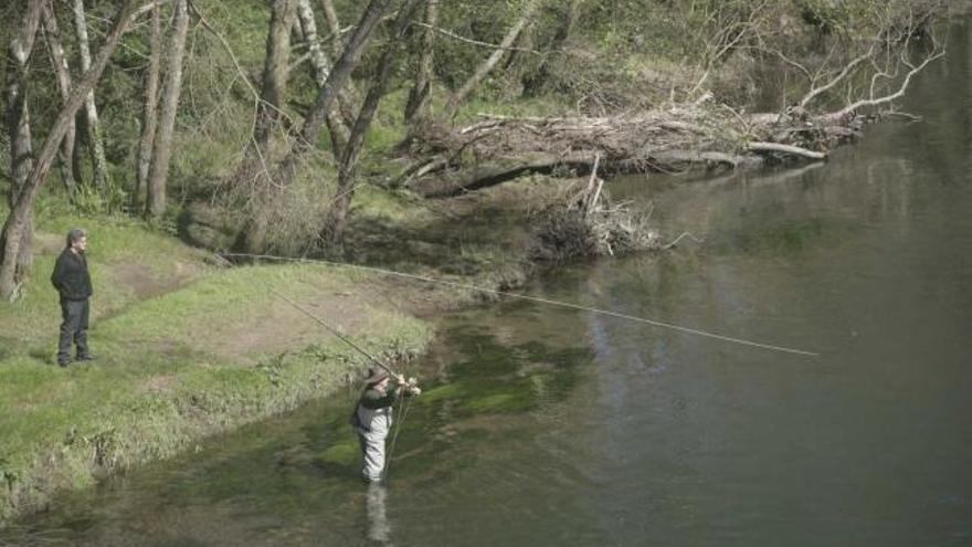 Pescadores en el río Narcea, al inicio de la campaña del año pasado.