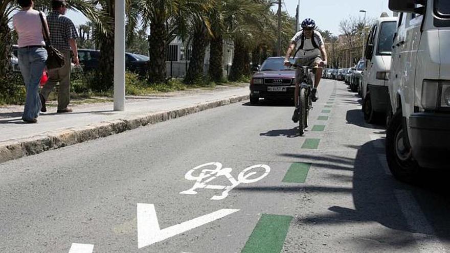 Una imagen del nuevo carril-bici de Elche en las primeras calles donde ya está pintado.