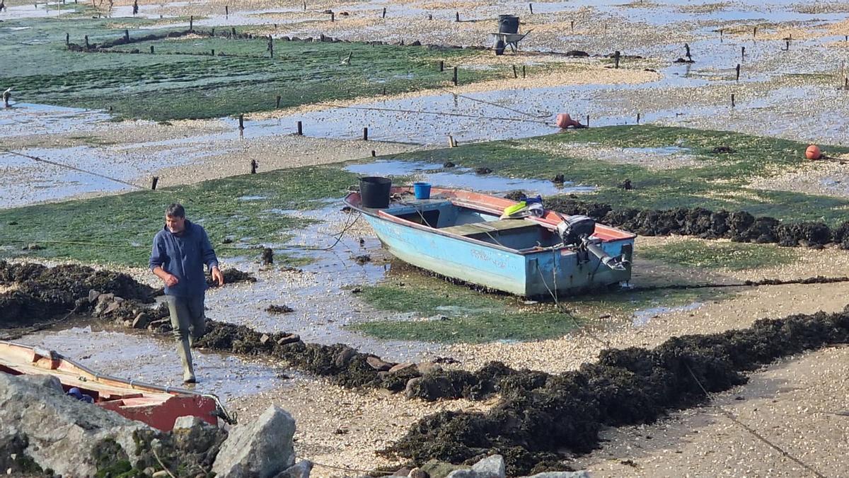 Los parques de cultivo carrilexos.