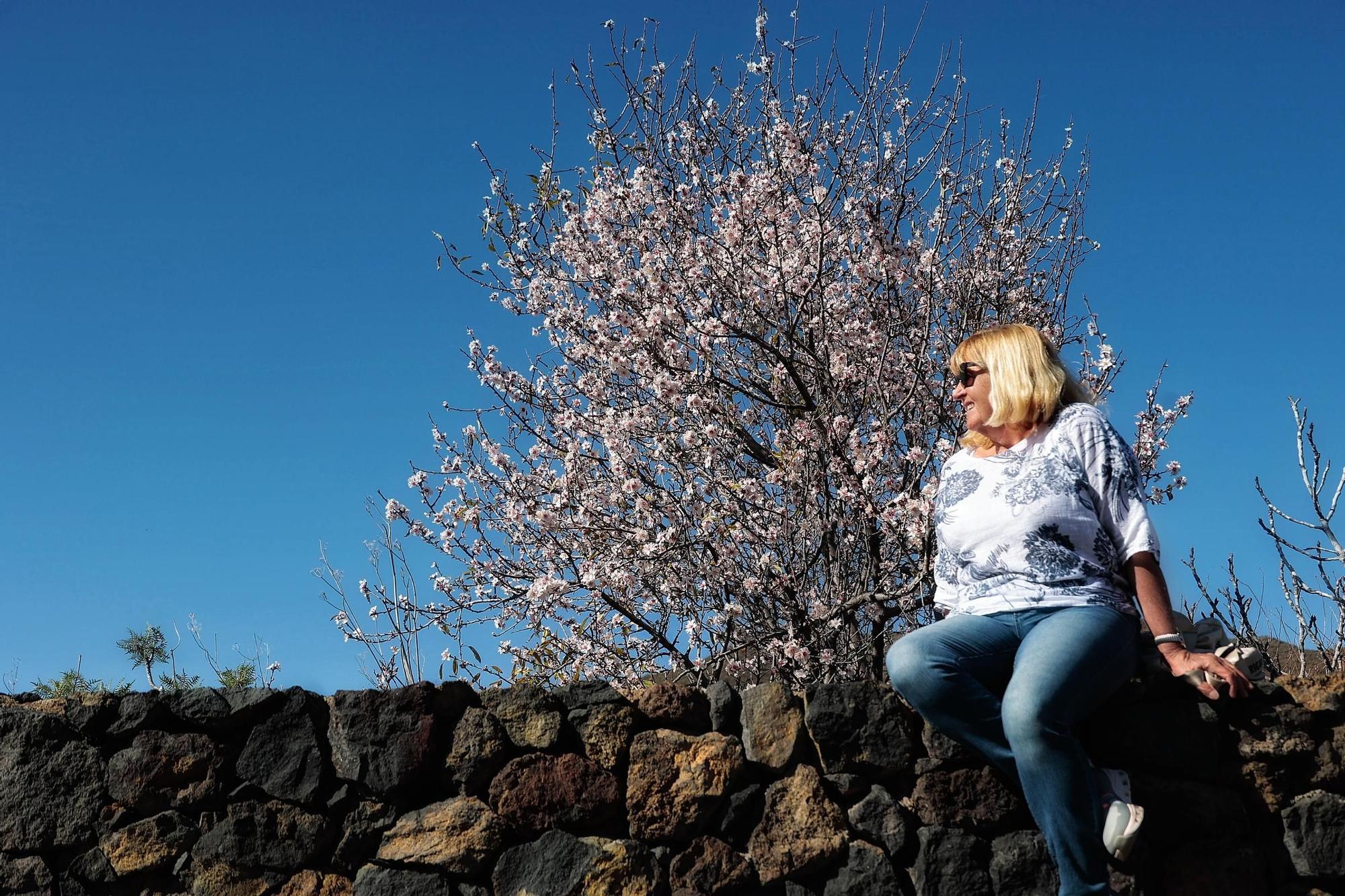 Pateos para ver el almendro en flor