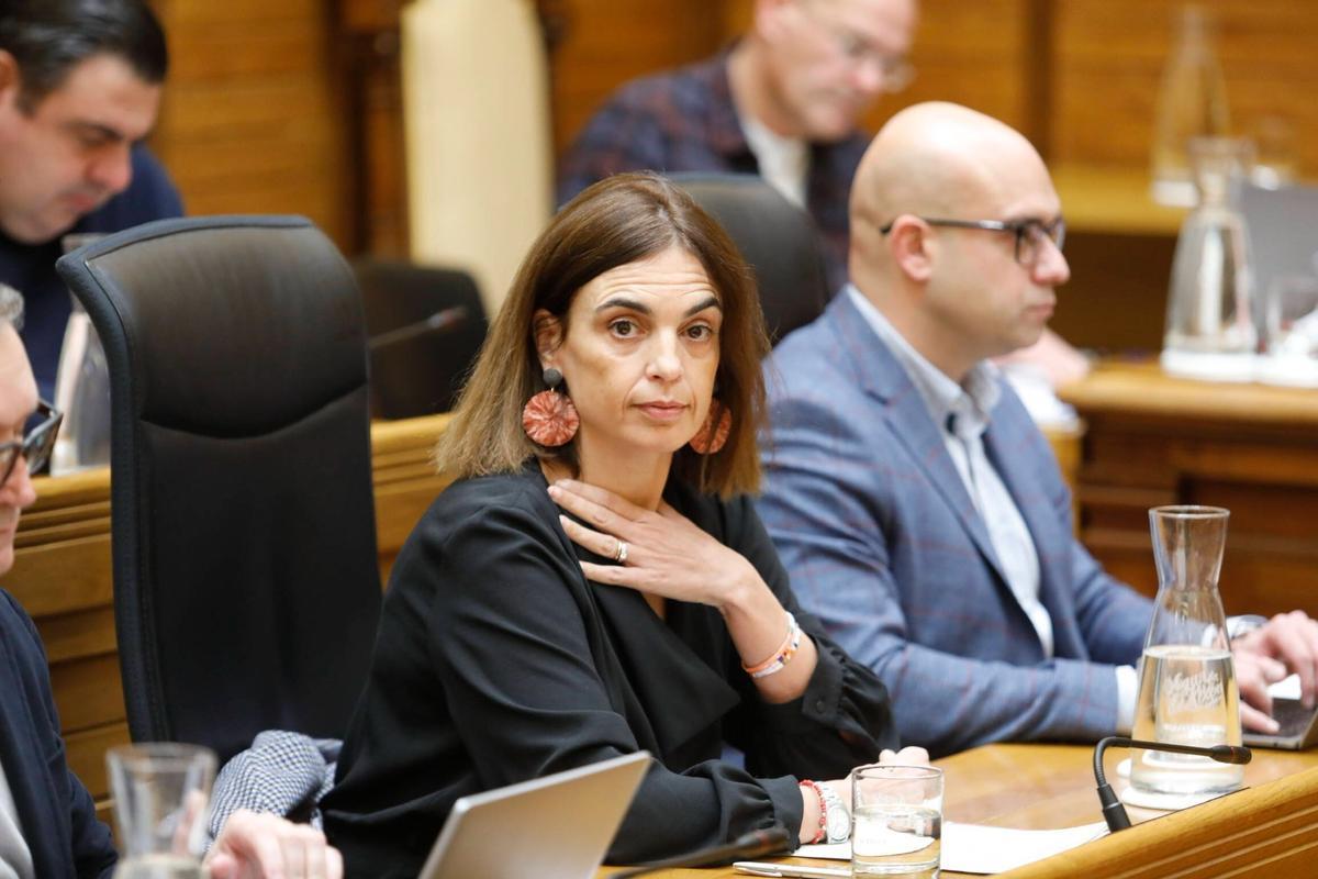 María Mitre, concejala de Hacienda, en un pleno.