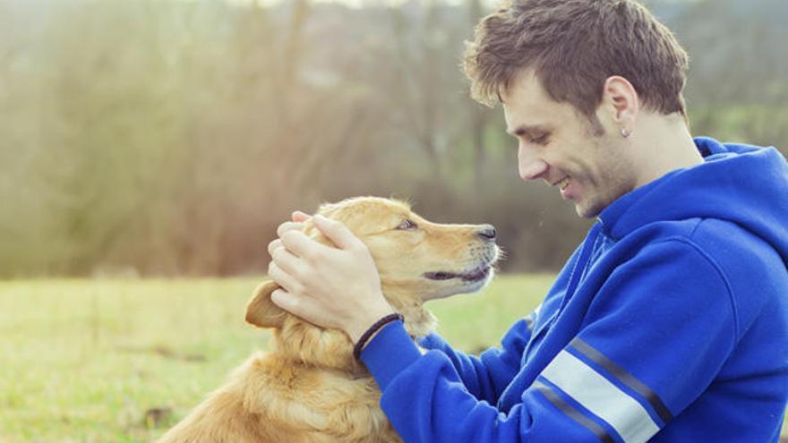 Los perros desarrollan los mismos tipos de tumores que las personas