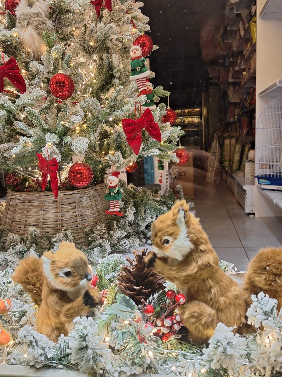 Premios de Escaparatismo Navideño: Mascotas Cora
