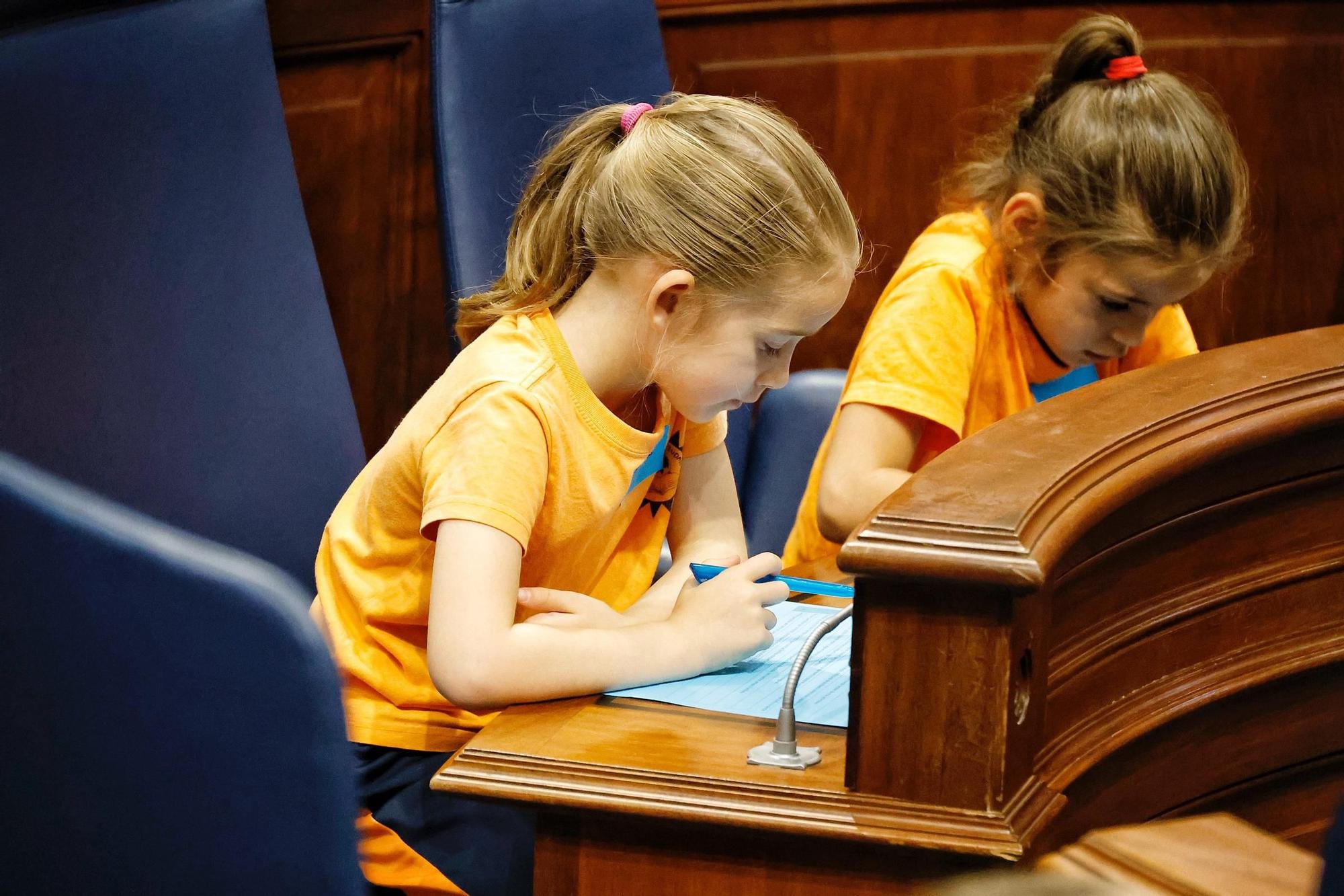 Escolares en el Parlamento de Canarias