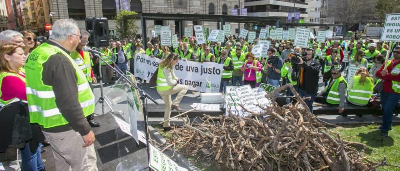 Productores de uva de mesa llevan a Alicante su protesta por la subida del seguro