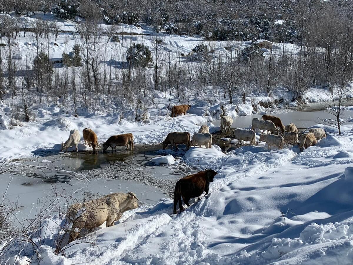 Las mejores imágenes de la borrasca Filomena en Castellón