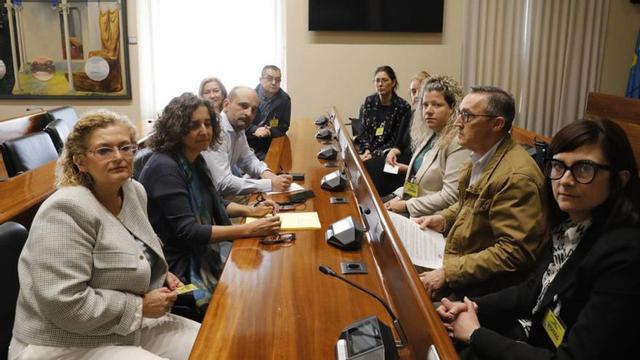 Los diputados socialistas Ana Puerto y René Suárez (segunda y tercero por la izquierda), con miembros del comité de empresa de Duro Felguera (su presidente, Ángel Martínez, es el segundo por la derecha).  | FERNANDO RODRÍGUEZ