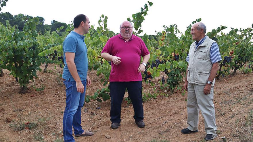 Consideren l’àrea vitícola de Calonge com «un cas únic al món»