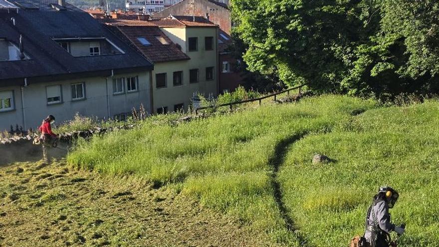 Ravella adecenta el entorno del parque de O Castriño y del castro de Alobre
